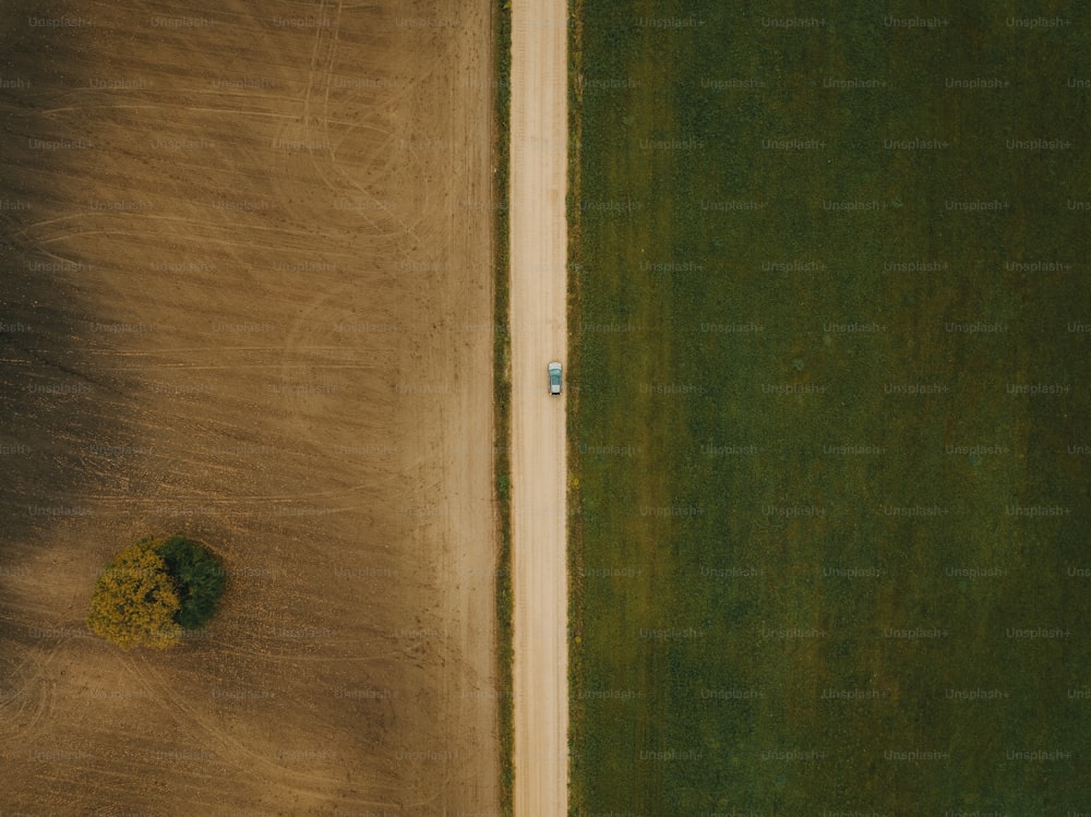 Una veduta aerea di un campo con un albero solitario