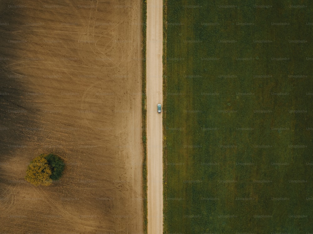 an aerial view of a field with a lone tree