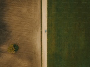 an aerial view of a field with a lone tree
