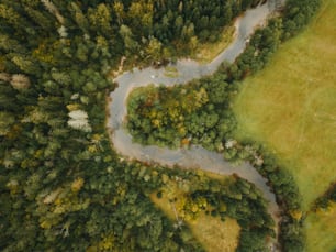 an aerial view of a river running through a lush green forest