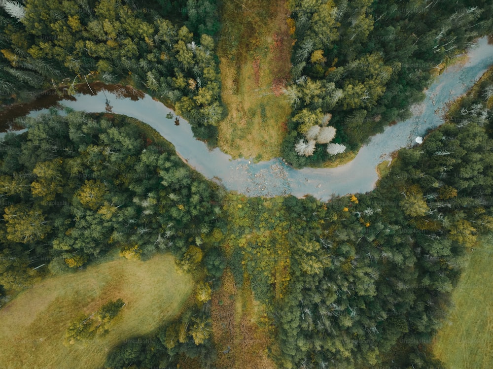 an aerial view of a river running through a forest