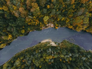 an aerial view of a river surrounded by trees