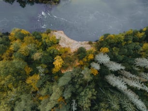 an aerial view of a river surrounded by trees