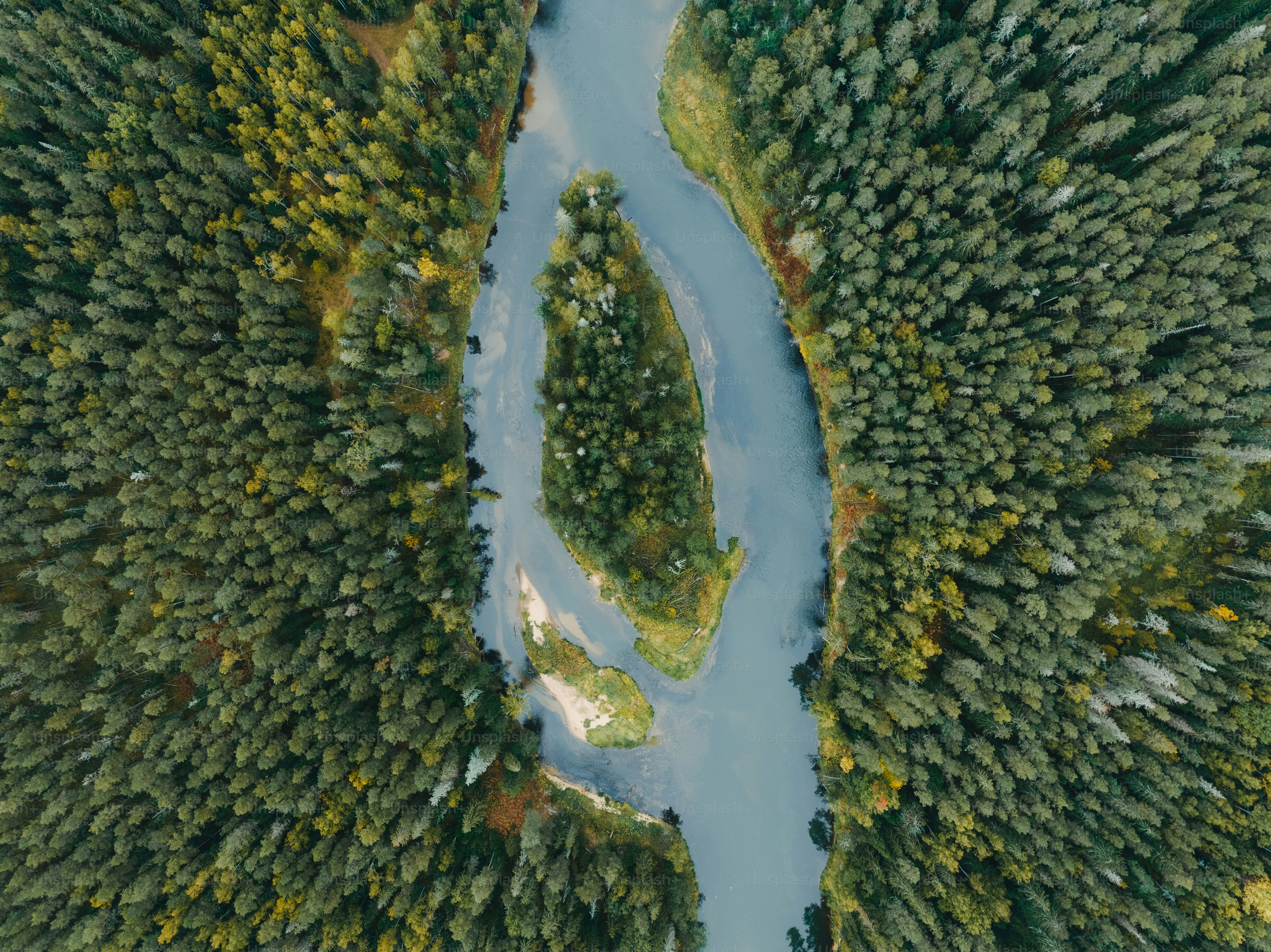 An aerial view of a river surrounded by trees photo – Trees Image on ...