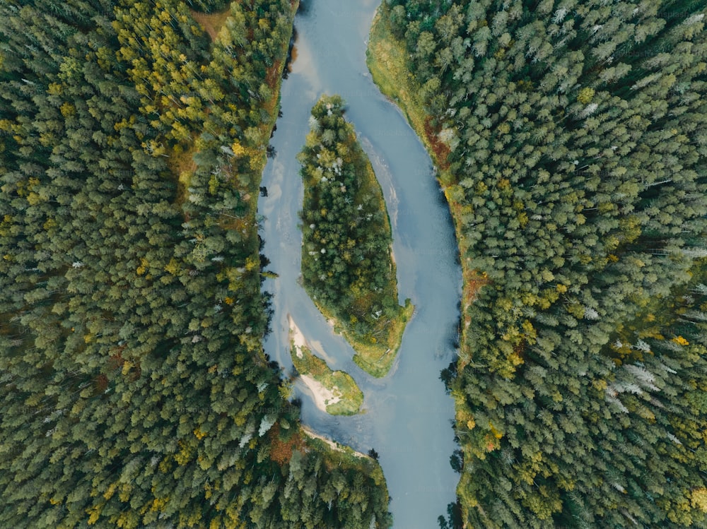 an aerial view of a river surrounded by trees