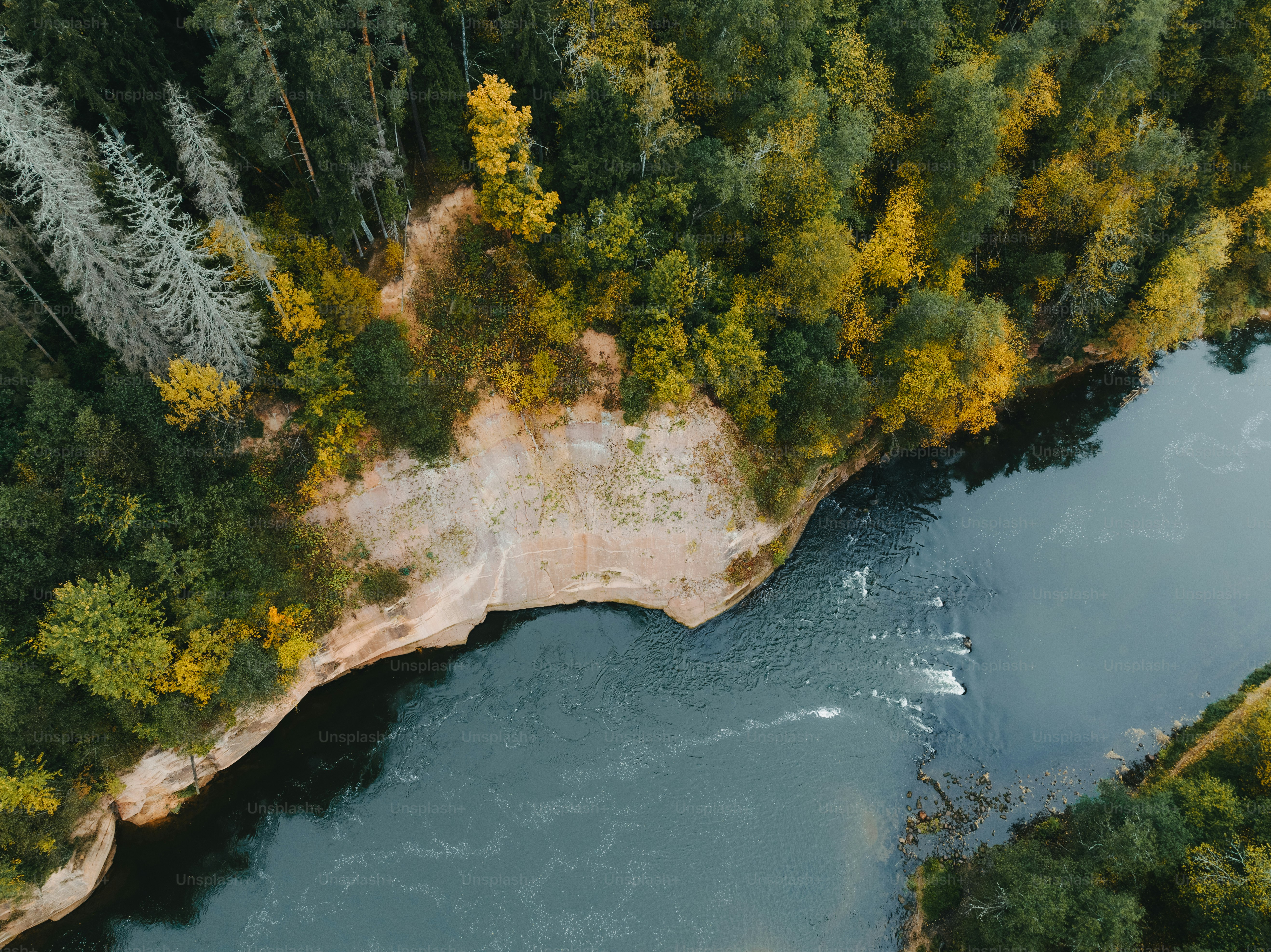 An aerial view of a river surrounded by trees photo – Beach Image on ...