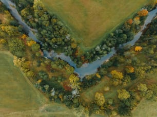 an aerial view of a river running through a lush green field