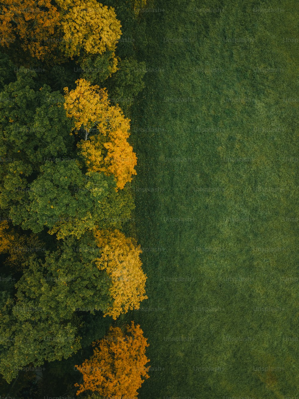 an aerial view of a grassy field with trees in the background