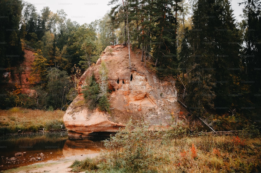 a large rock in the middle of a forest