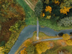 Una vista aérea de un río que atraviesa un bosque