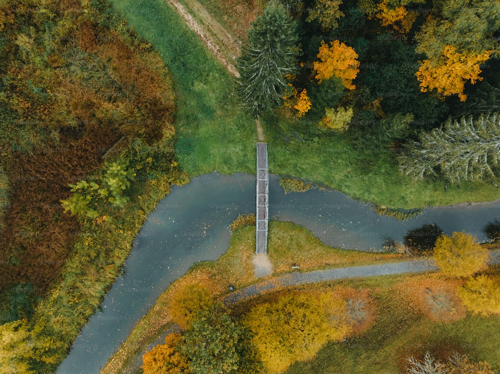 an aerial view of a river running through a forest