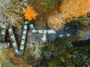 an aerial view of a park in the fall
