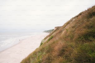 una vista di una spiaggia da una collina