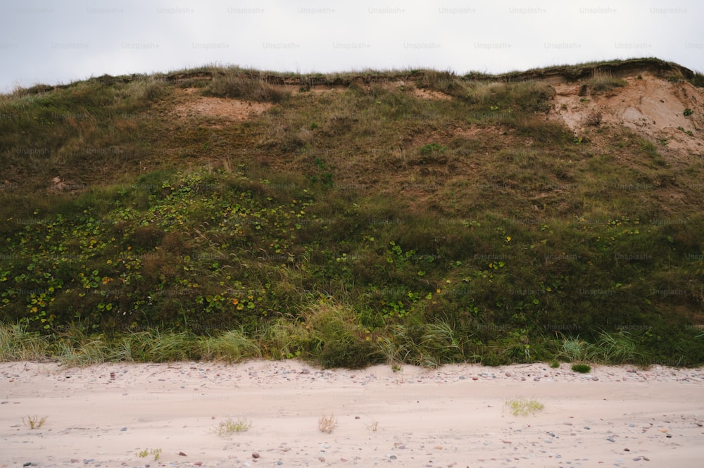 a hill covered in grass next to a sandy beach