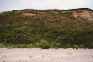 a hill covered in grass next to a sandy beach
