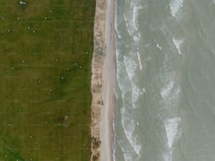 an aerial view of a beach and grassy area