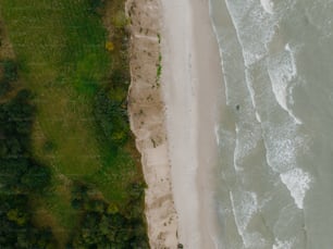 an aerial view of a beach and grassy area
