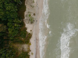 a bird's eye view of a beach and trees