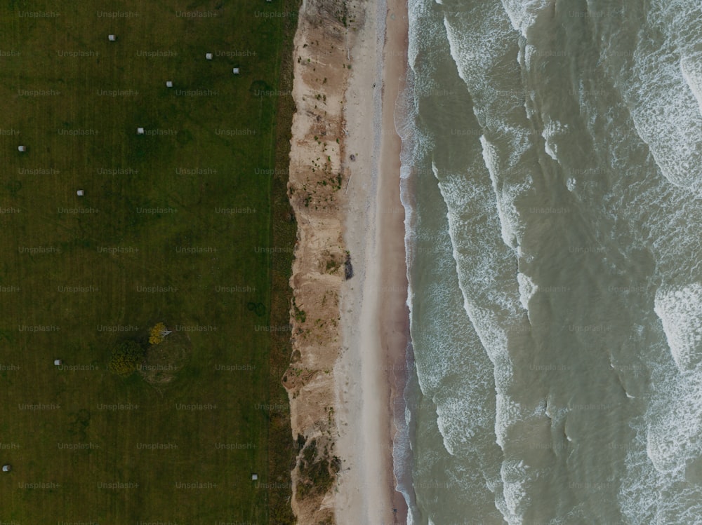 una vista aerea di una spiaggia e di un'area erbosa