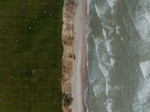 Una vista aérea de una playa y una zona de césped