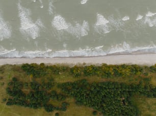 an aerial view of a beach and a body of water