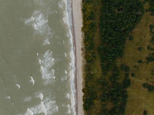 Una vista aérea de una playa y una zona de césped