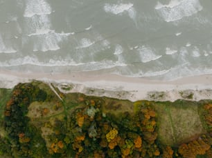 una vista de pájaro de una playa y un cuerpo de agua
