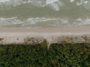 una vista aerea di una spiaggia e dell'oceano