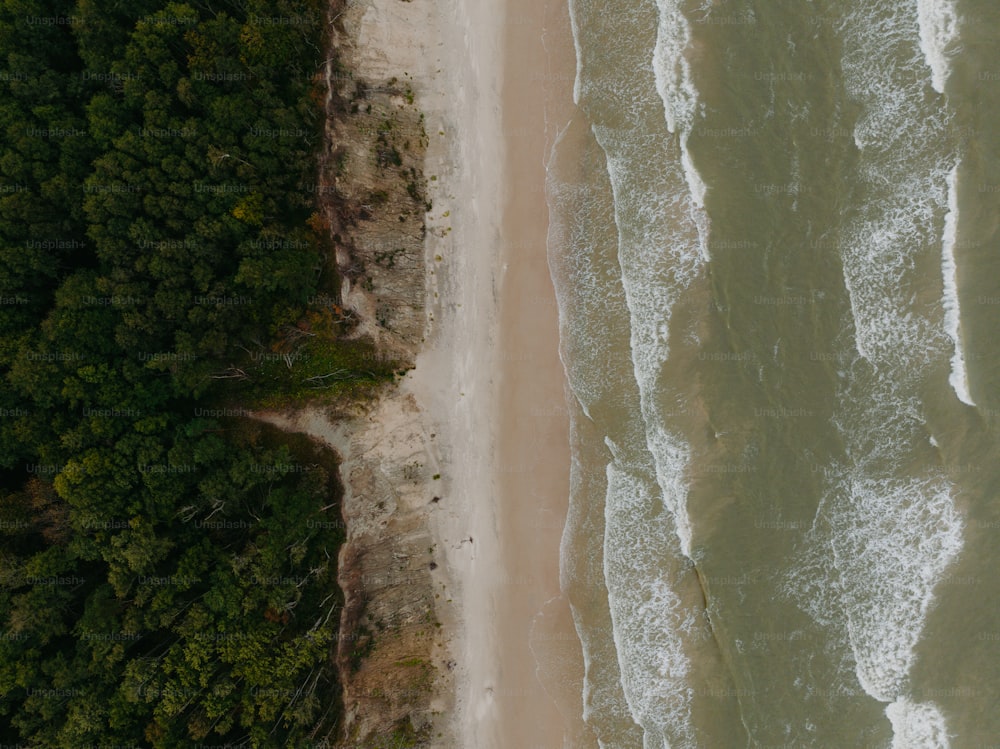 an aerial view of a beach and a forested area