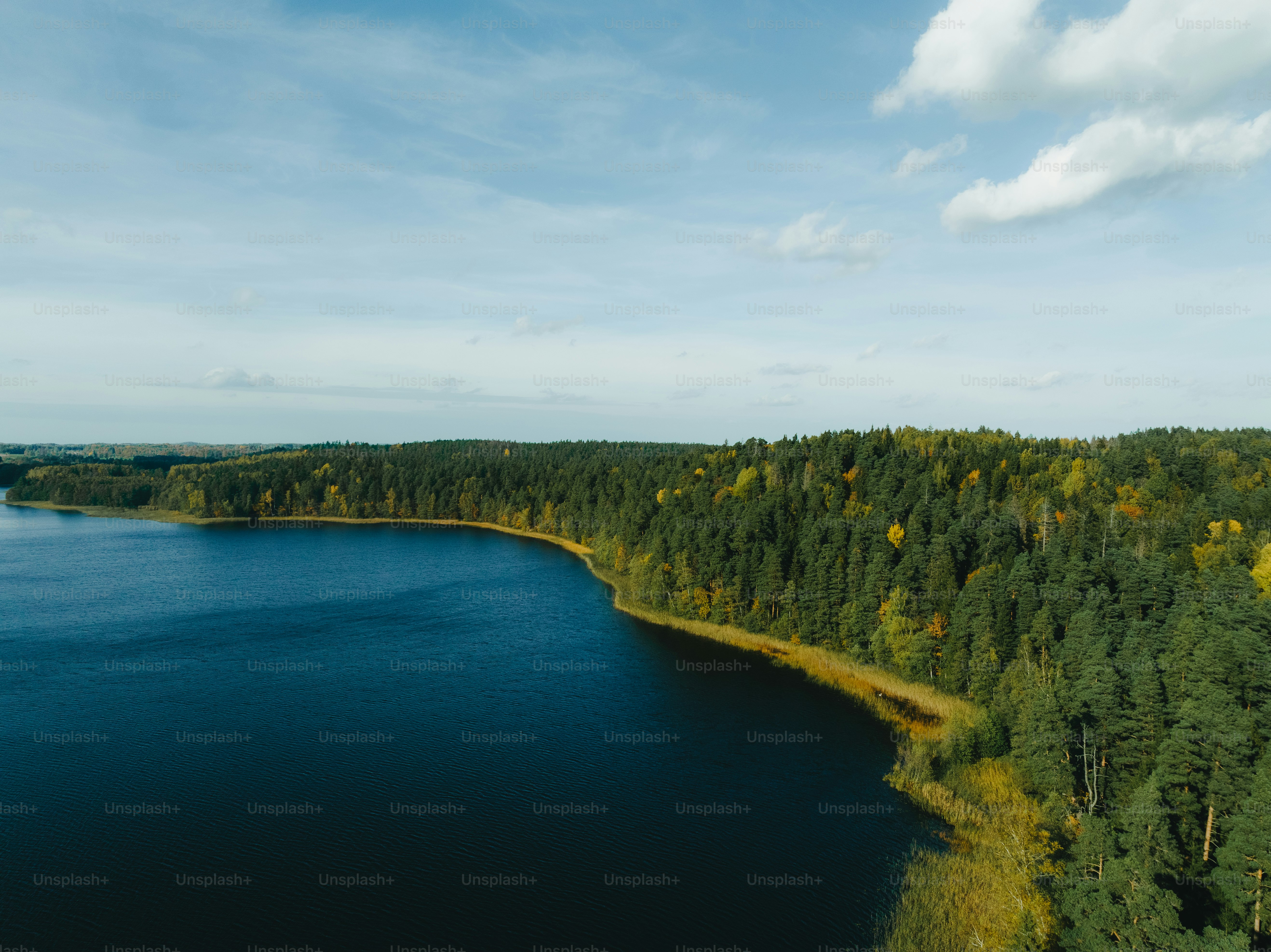 a large body of water surrounded by trees