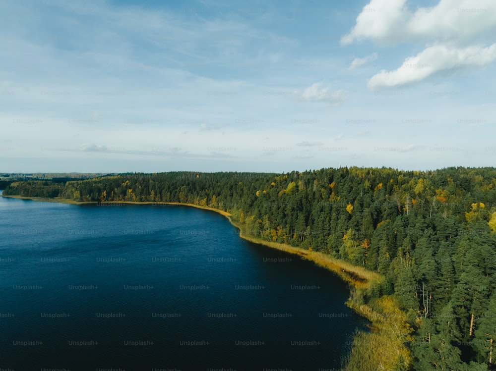 a large body of water surrounded by trees