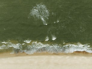 Una vista a volo d'uccello di una spiaggia e dell'oceano
