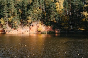 un grand plan d’eau entouré d’arbres