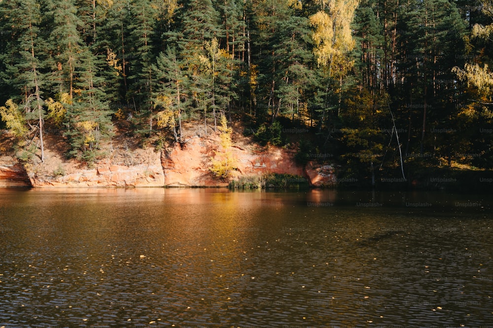 un grande specchio d'acqua circondato da alberi