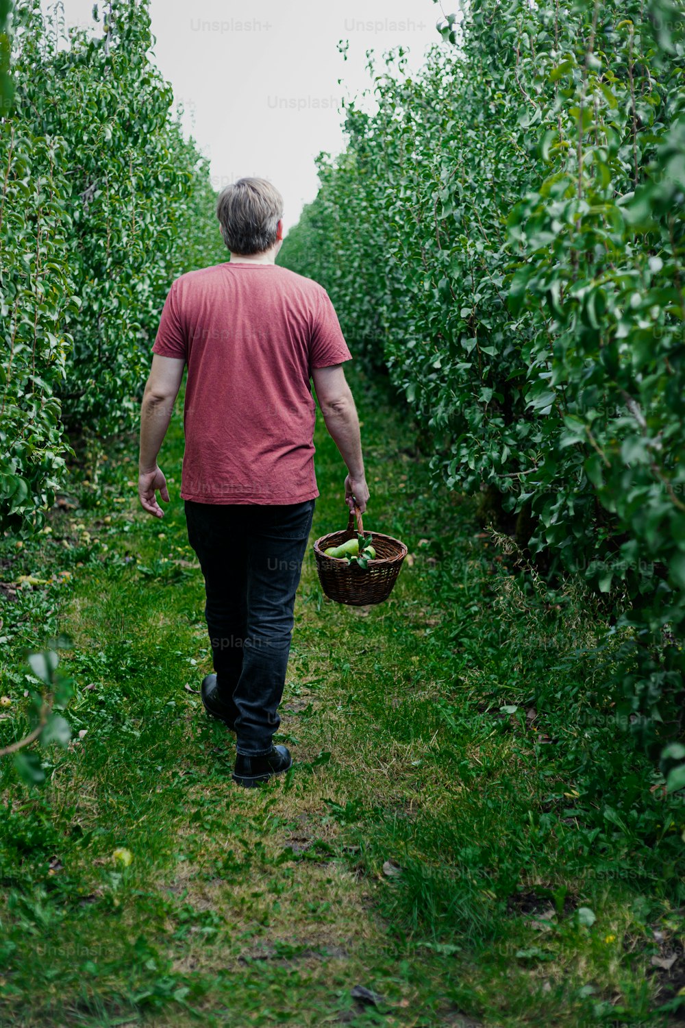 a man walking through a field carrying a basket