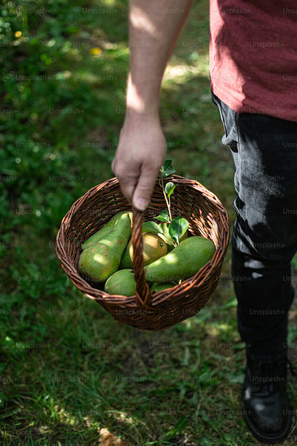 uma pessoa segurando uma cesta de frutas na grama