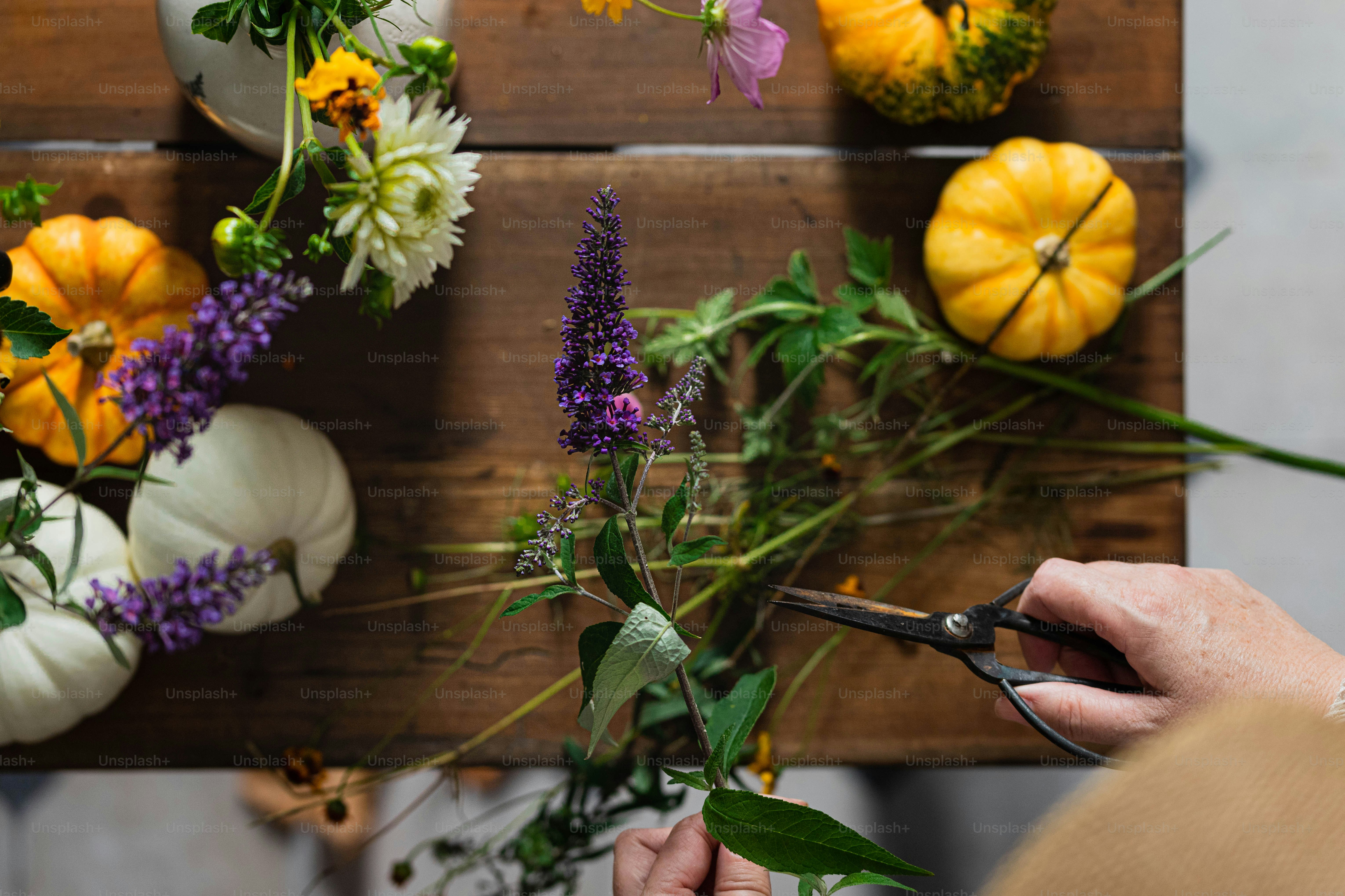 uma pessoa cortando flores com uma tesoura