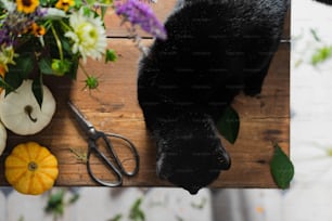 Ein Schwarzbär, der auf einem Holztisch neben einem Blumenstrauß liegt