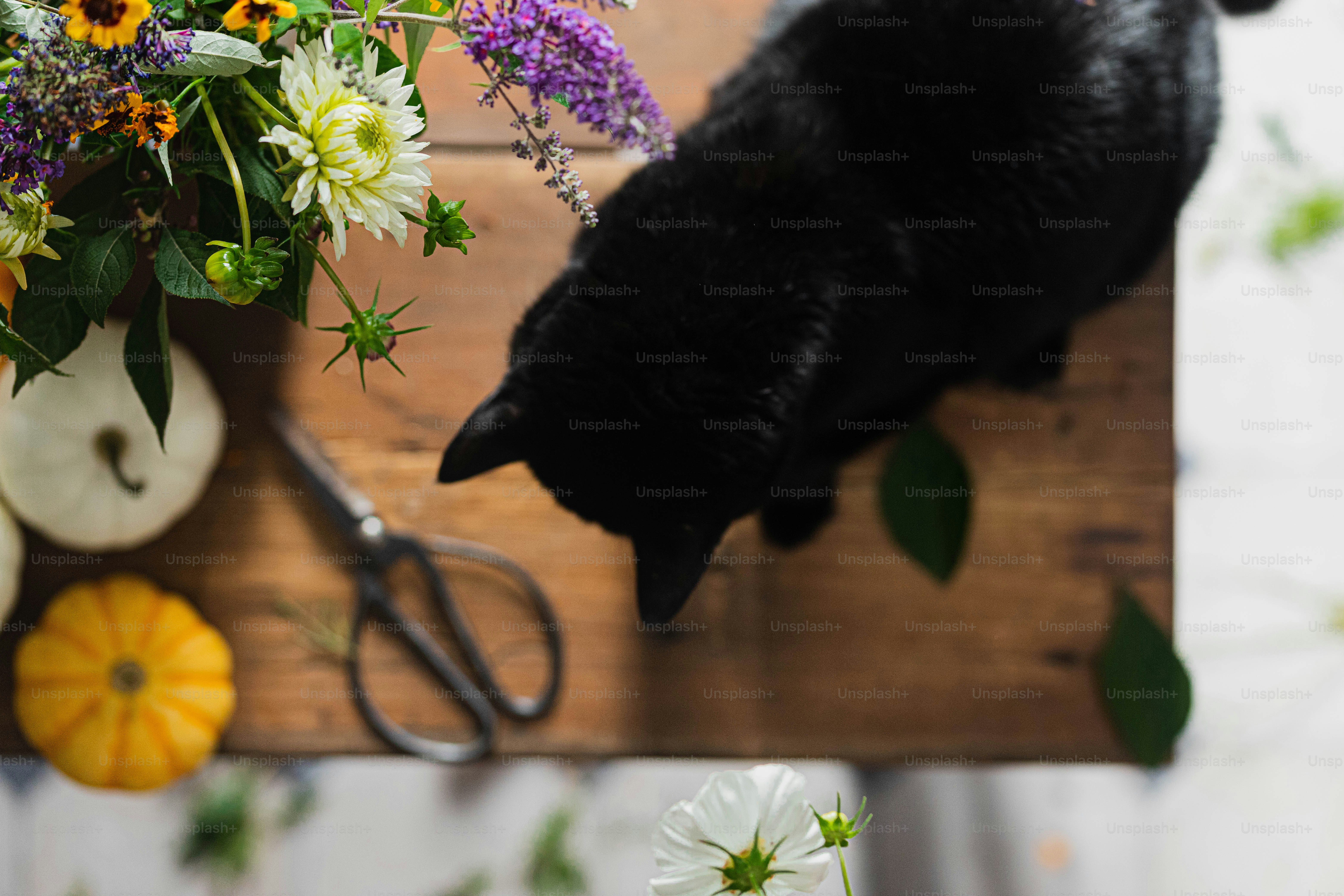 un vaso di fiori e un paio di forbici su un tavolo