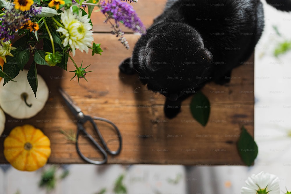 a black cat sitting on top of a wooden table next to a bunch of flowers
