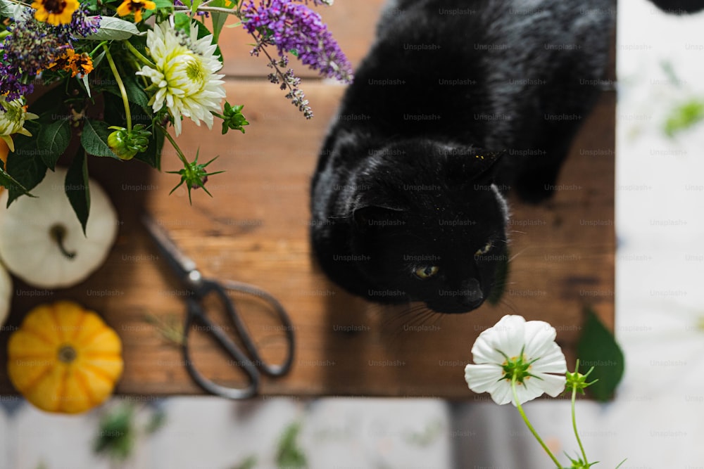 a black cat sitting next to a bunch of flowers