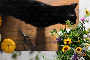 Eine Nahaufnahme einer Katze in der Nähe eines Blumenstraußes