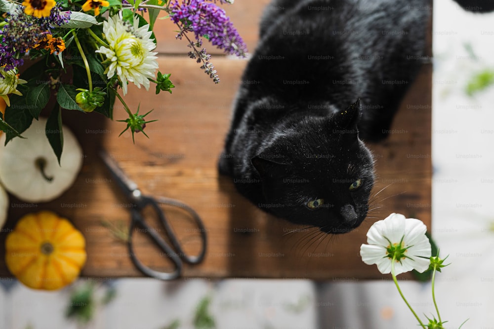 Un gato negro sentado junto a un ramo de flores