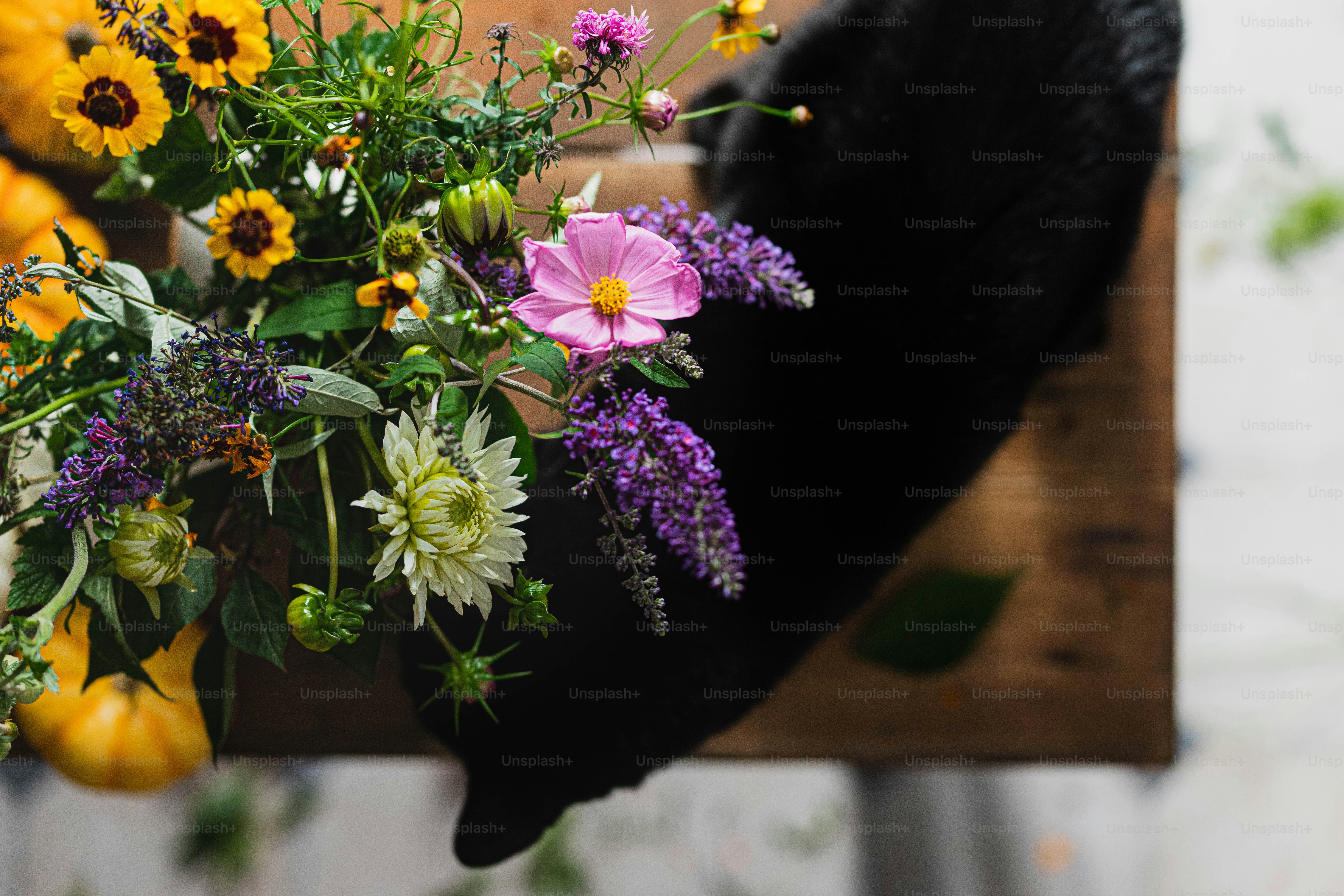 a black cat sniffing a bouquet of flowers