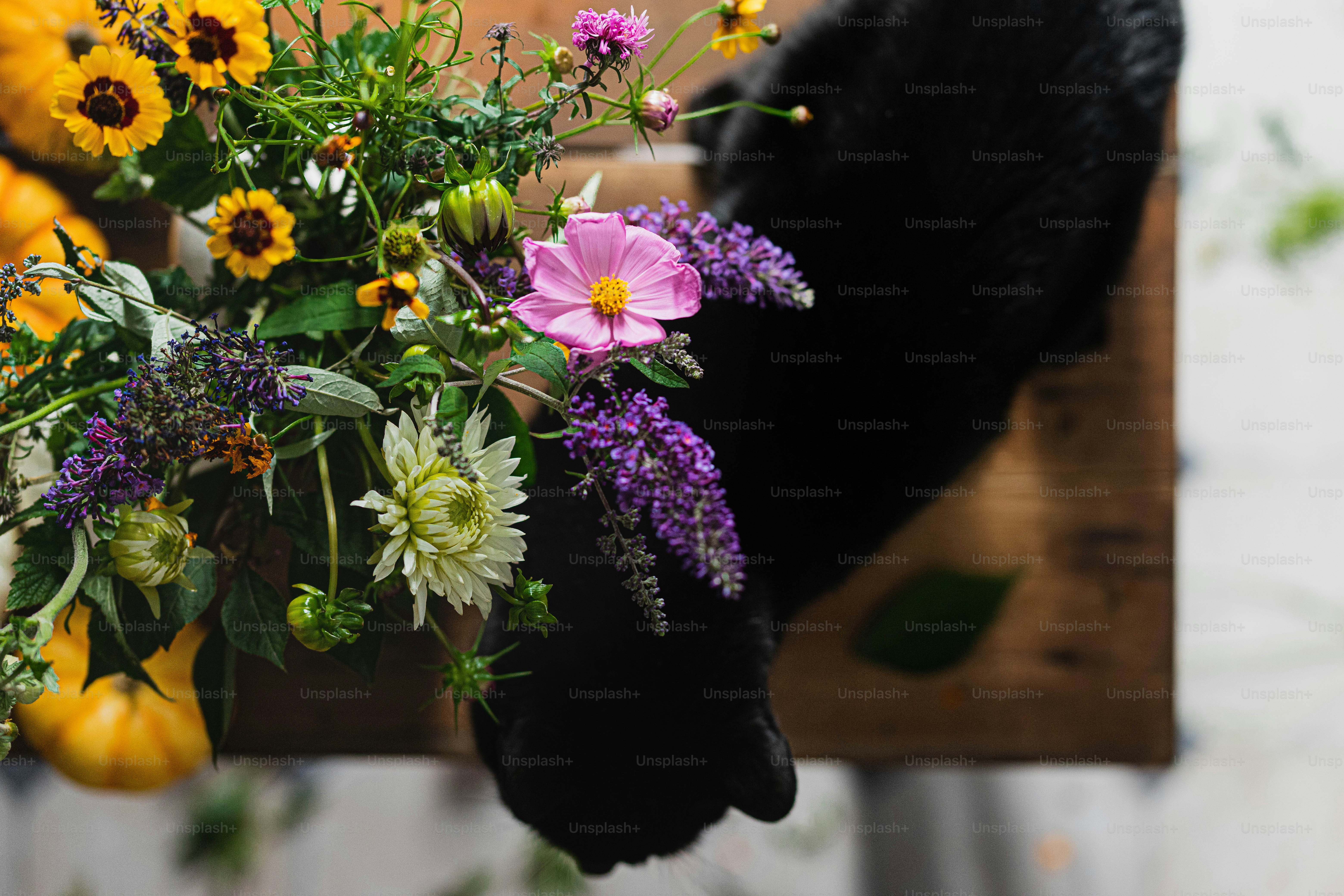 a close up of a bunch of flowers on a table