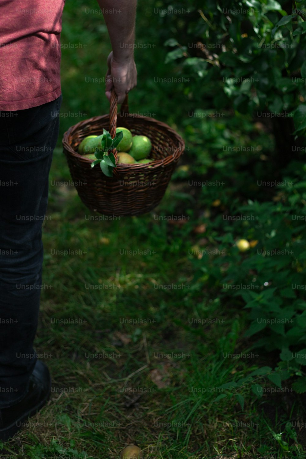 Una persona sosteniendo una canasta llena de manzanas