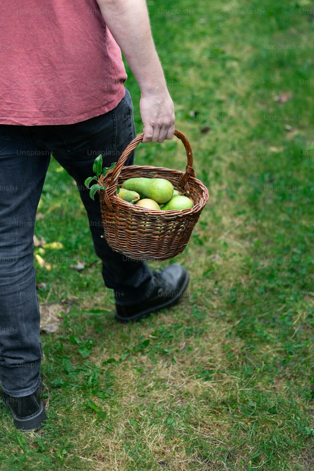 a person holding a basket of apples in a field