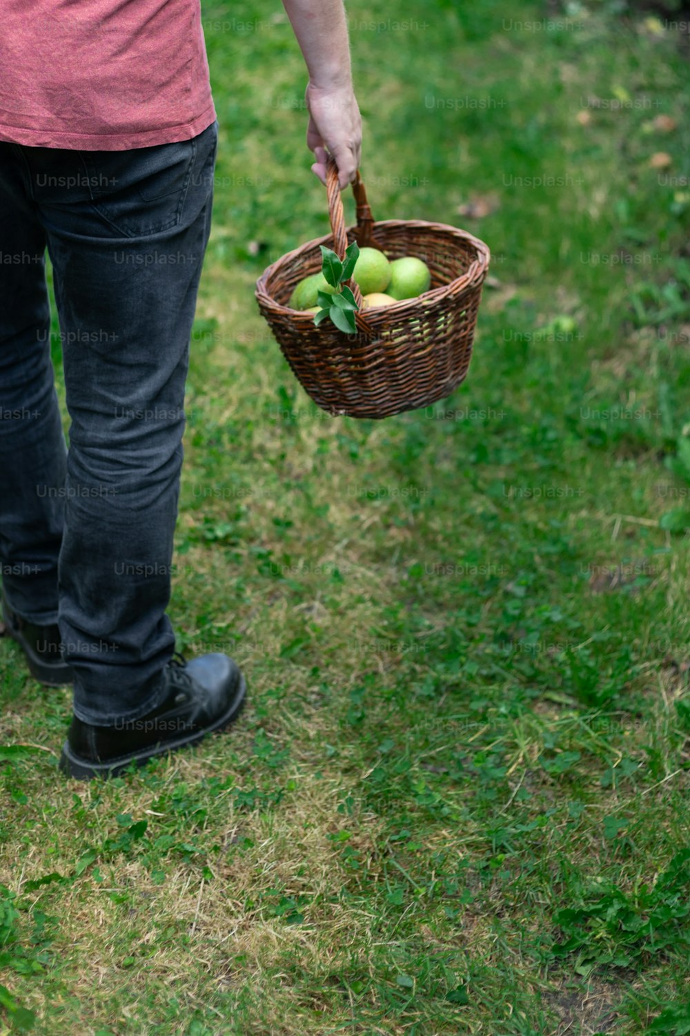 a person holding a basket of green apples