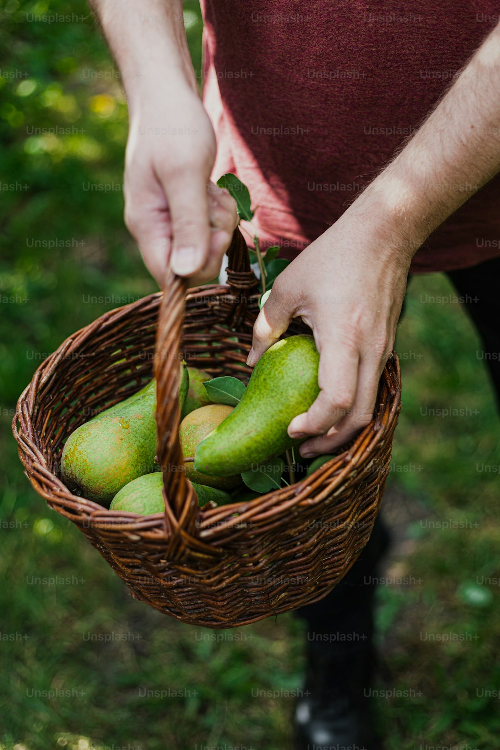 a person holding a basket full of fruit