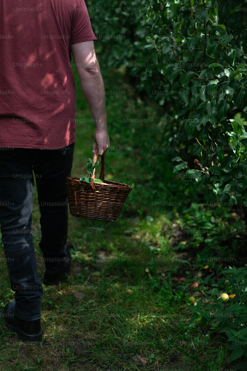 a man holding a basket walking through a forest